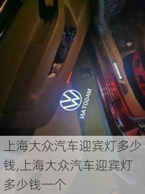 上海大众汽车迎宾灯多少钱,上海大众汽车迎宾灯多少钱一个